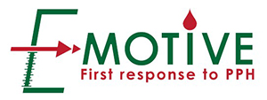 E-MOTIVE Logo